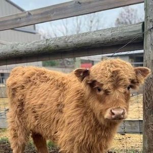 Meet your Posher, Kaden